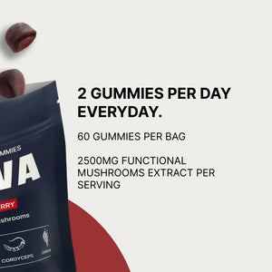 REVIVA Mushroom Gummies